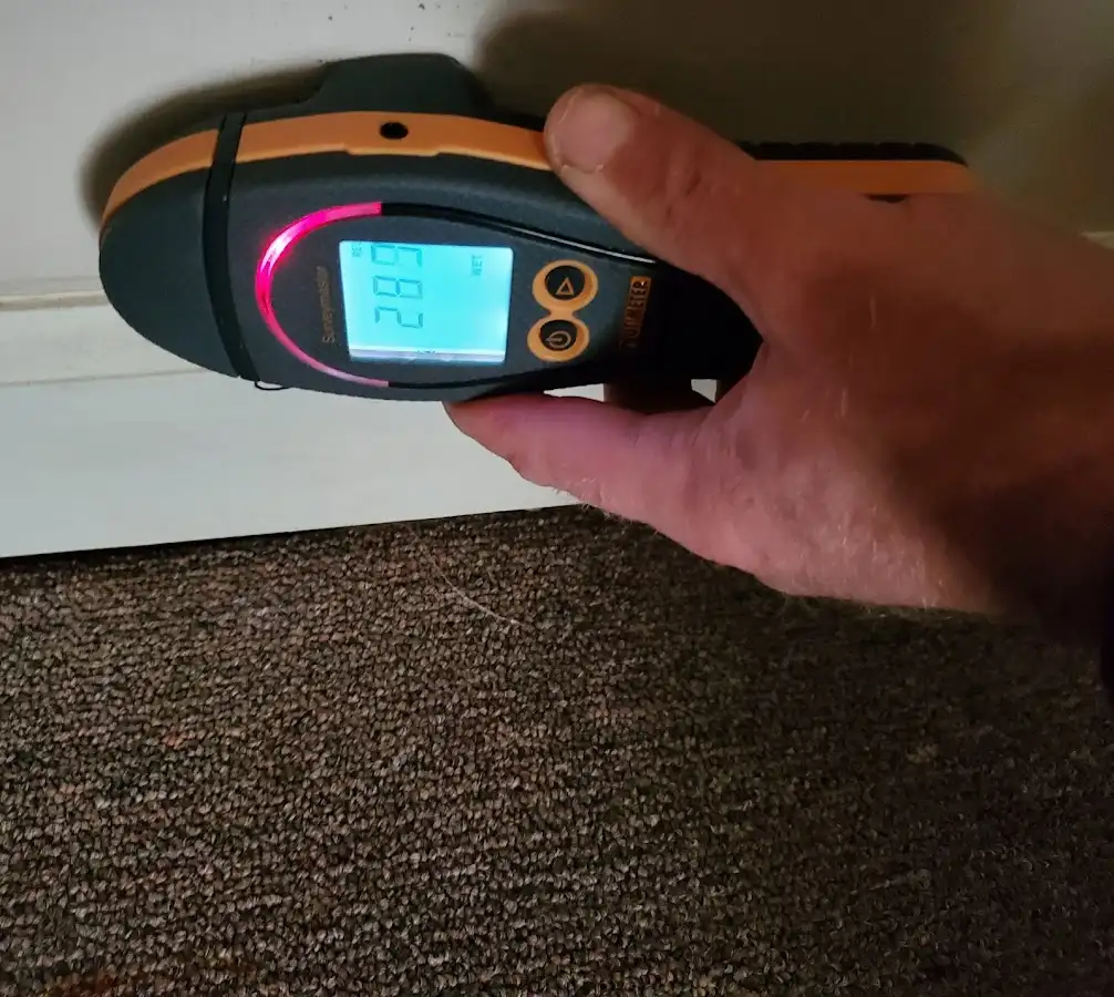 Moisture detection at baseboard during Burst Pipe Cleanup in Geneseo